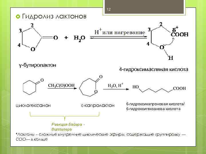 12 Гидролиз лактонов γ-бутиролактон циклогексанон 4 -гидроксимасляная кислота ε-капролактон 6 -гидроксикапроновая кислота/ 6 -гидроксигексанова
