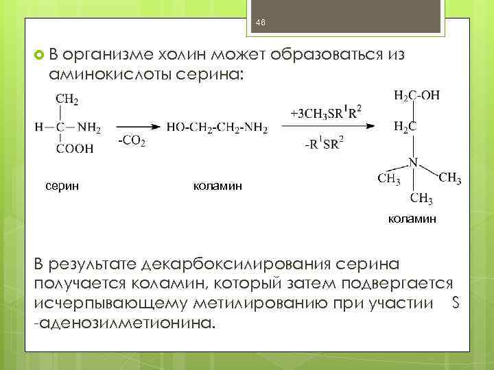 46 В организме холин может образоваться из аминокислоты серина: серин коламин В результате декарбоксилирования
