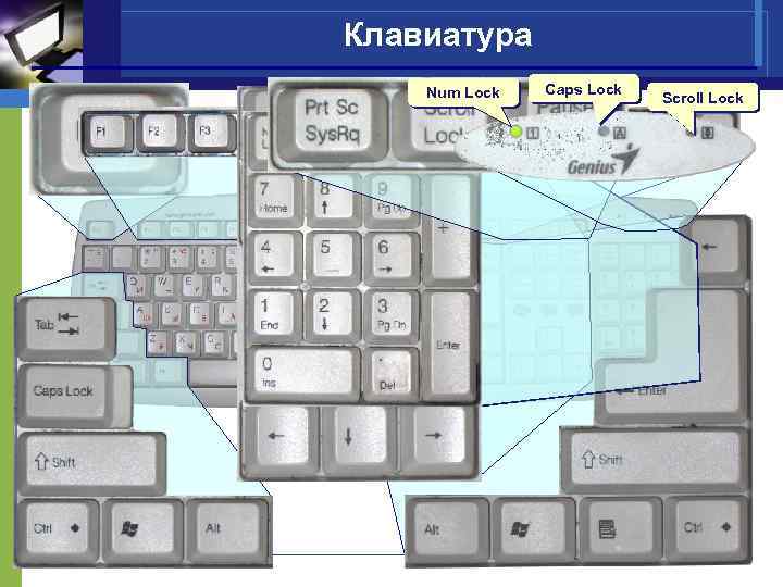 Клавиатура Num Lock Caps Lock Scroll Lock 