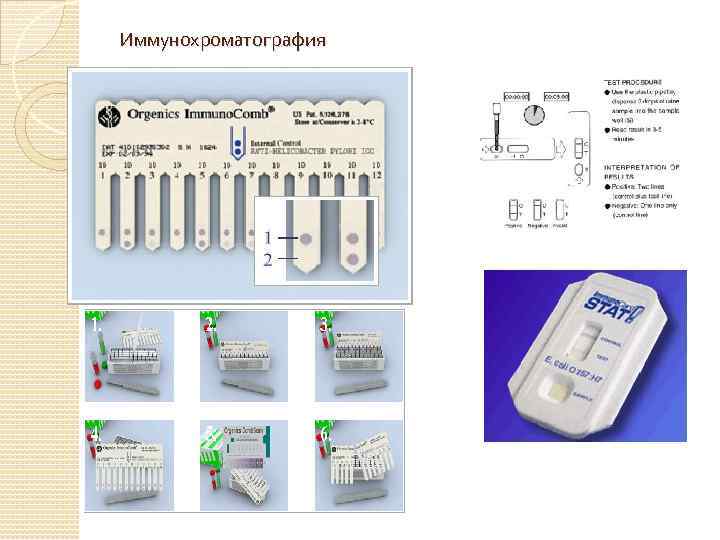 Иммунохроматография 