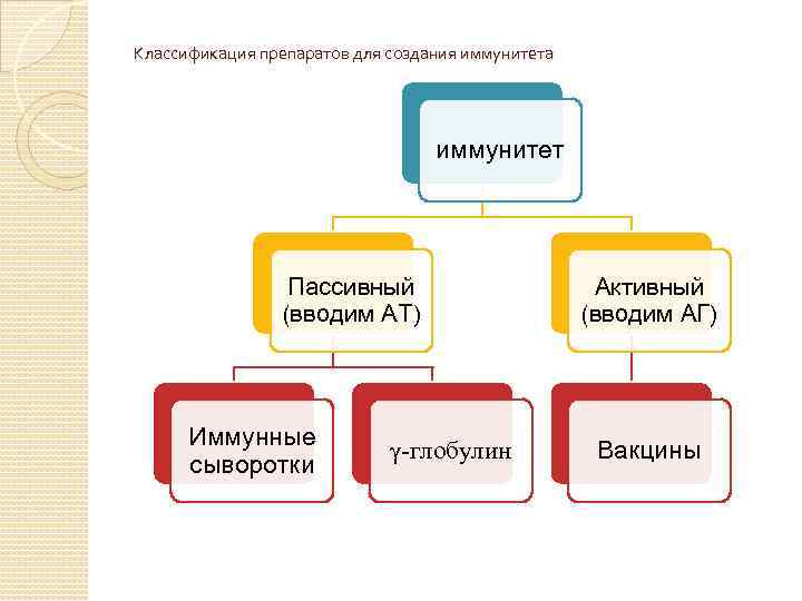 Классификация препаратов для создания иммунитета иммунитет Пассивный (вводим АТ) Иммунные сыворотки γ глобулин Активный