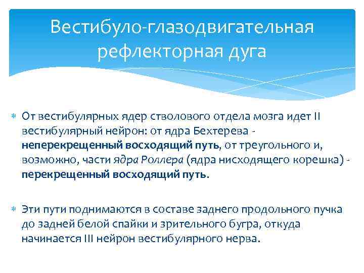 Вестибуло-глазодвигательная рефлекторная дуга От вестибулярных ядер стволового отдела мозга идет II вестибулярный нейрон: от