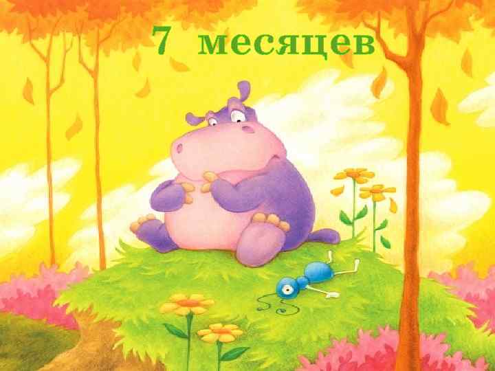 7 месяцев 