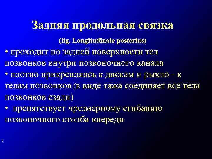 Задняя продольная связка (lig. Longitudinale posterius) • проходит по задней поверхности тел позвонков внутри