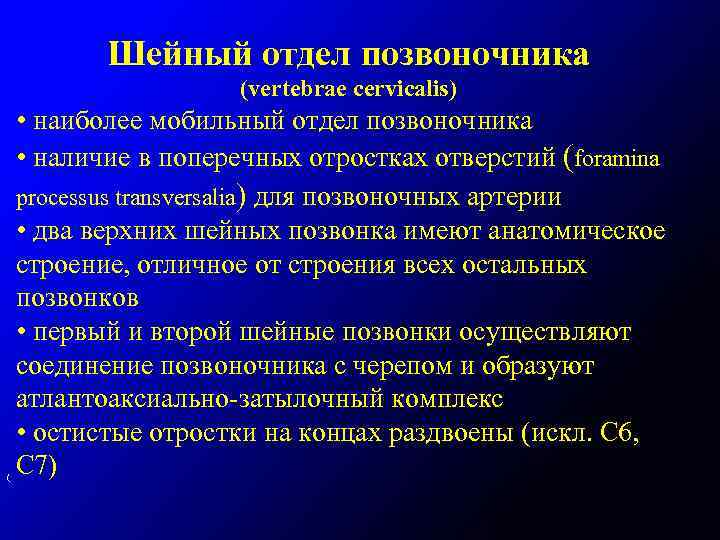 Шейный отдел позвоночника (vertebrae cervicalis) ( • наиболее мобильный отдел позвоночника • наличие в