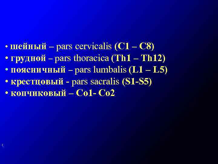  • шейный – pars cervicalis (С 1 – С 8) • грудной –
