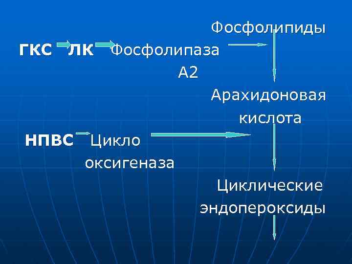 Фосфолипиды ГКС ЛК Фосфолипаза А 2 Арахидоновая кислота НПВС Цикло оксигеназа Циклические эндопероксиды 