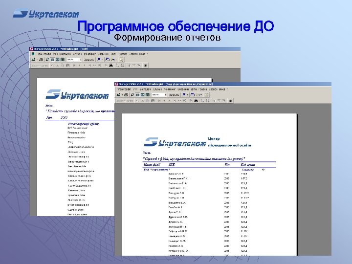 Программное обеспечение ДО Формирование отчетов 