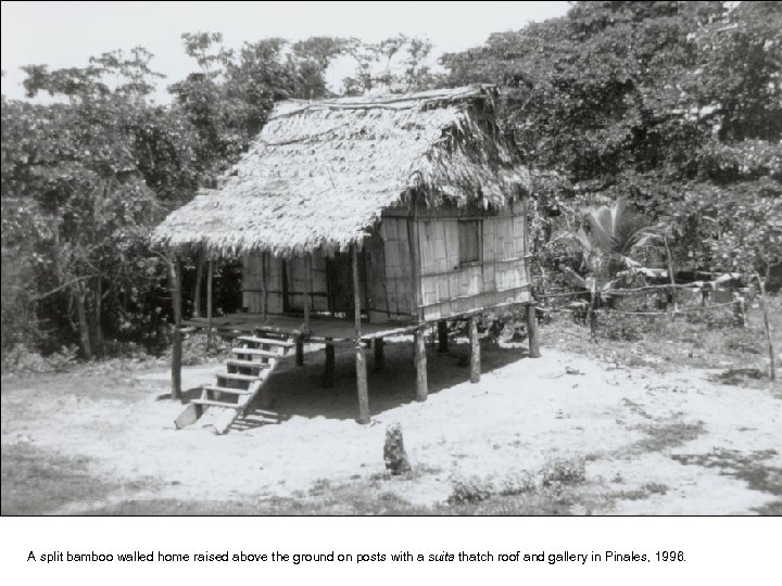 A split bamboo walled home raised above the ground on posts with a suita