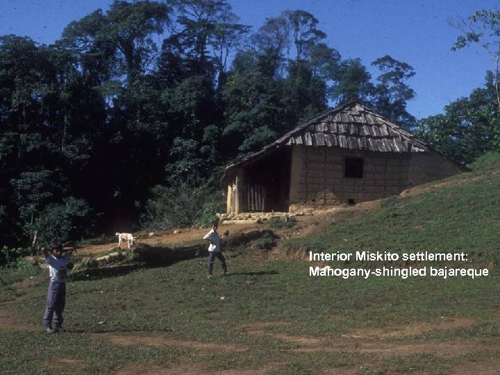 Interior Miskito settlement: Mahogany-shingled bajareque 