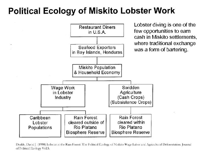 Lobster diving is one of the few opportunities to earn cash in Miskito settlements,