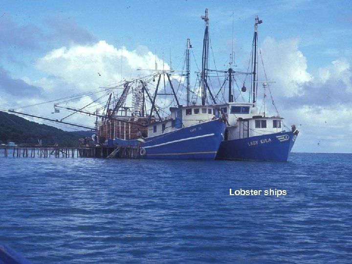 Lobster ships 