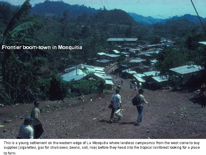 Frontier boom-town in Mosquitia This is a young settlement on the western edge of