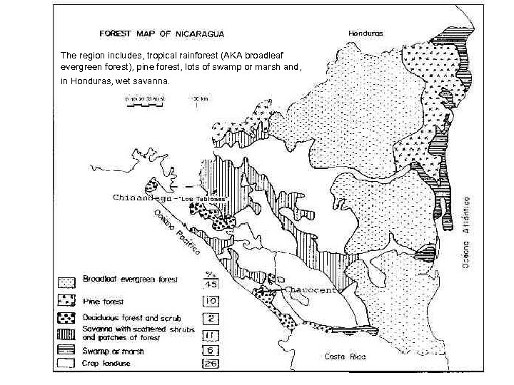 The region includes, tropical rainforest (AKA broadleaf evergreen forest), pine forest, lots of swamp