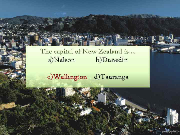 The capital of New Zealand is … a)Nelson b)Dunedin c)Wellington d)Tauranga 