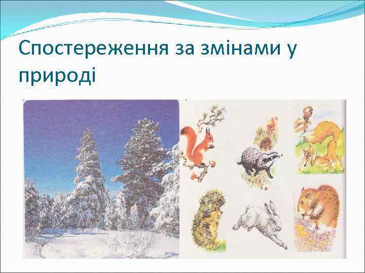 Спостереження за змінами у природі 