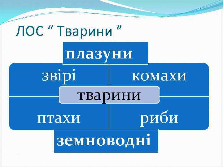 ЛОС “ Тварини ” плазуни звірі комахи тварини птахи риби земноводні 