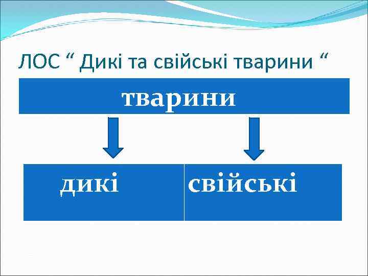 ЛОС “ Дикі та свійські тварини “ тварини дикі свійські 