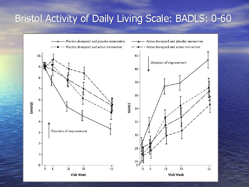 Bristol Activity of Daily Living Scale: BADLS: 0 -60 