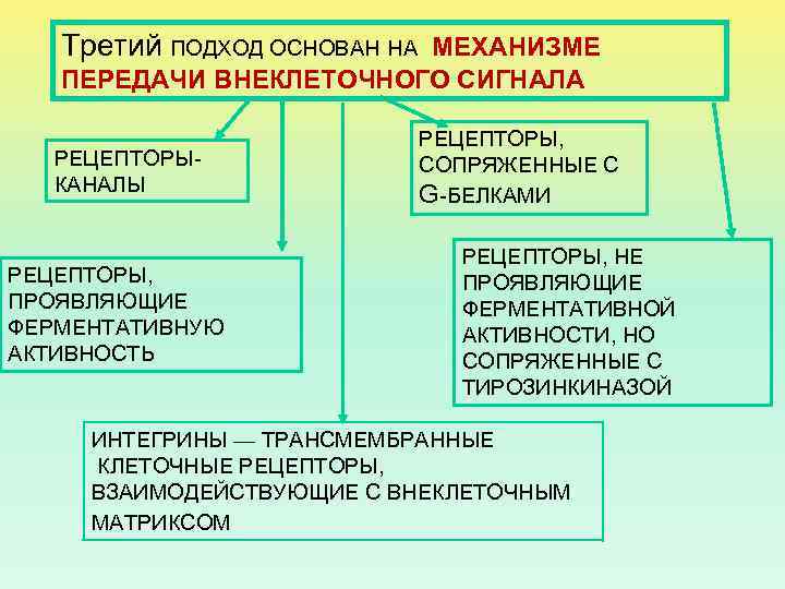 Третий ПОДХОД ОСНОВАН НА МЕХАНИЗМЕ ПЕРЕДАЧИ ВНЕКЛЕТОЧНОГО СИГНАЛА РЕЦЕПТОРЫКАНАЛЫ РЕЦЕПТОРЫ, ПРОЯВЛЯЮЩИЕ ФЕРМЕНТАТИВНУЮ АКТИВНОСТЬ РЕЦЕПТОРЫ,