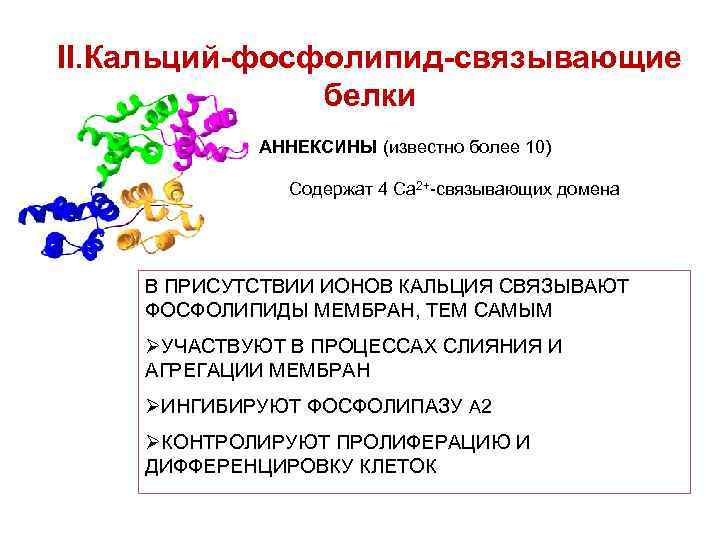 Связывающие белки