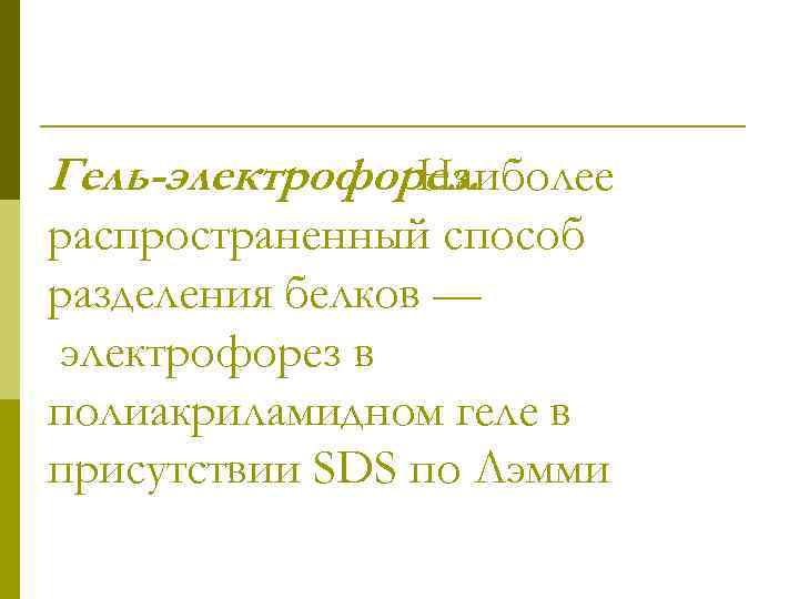 Гель-электрофорез. Наиболее распространенный способ разделения белков — электрофорез в полиакриламидном геле в присутствии SDS
