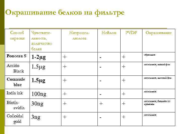 Окрашивание белков на фильтре Способ окраски Ponceau S Чувствительность, количество белка 1 -2µg Нитроцеллюлоза