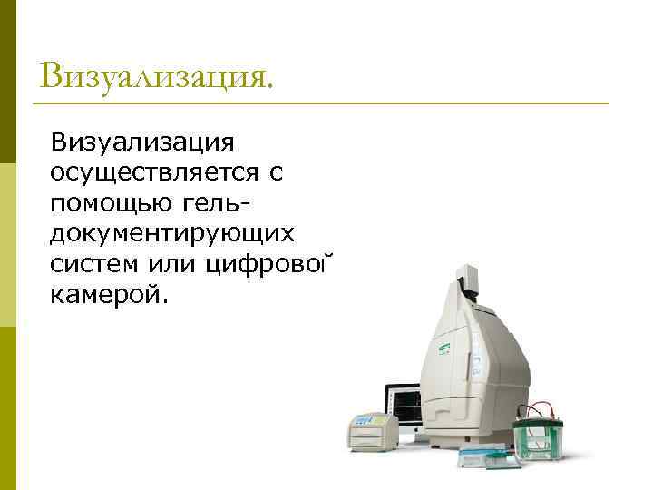 Визуализация осуществляется с помощью гельдокументирующих систем или цифровой камерой. 