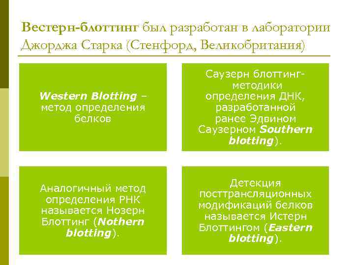 Вестерн-блоттинг был разработан в лаборатории Джорджа Старка (Стенфорд, Великобритания) Western Blotting – метод определения