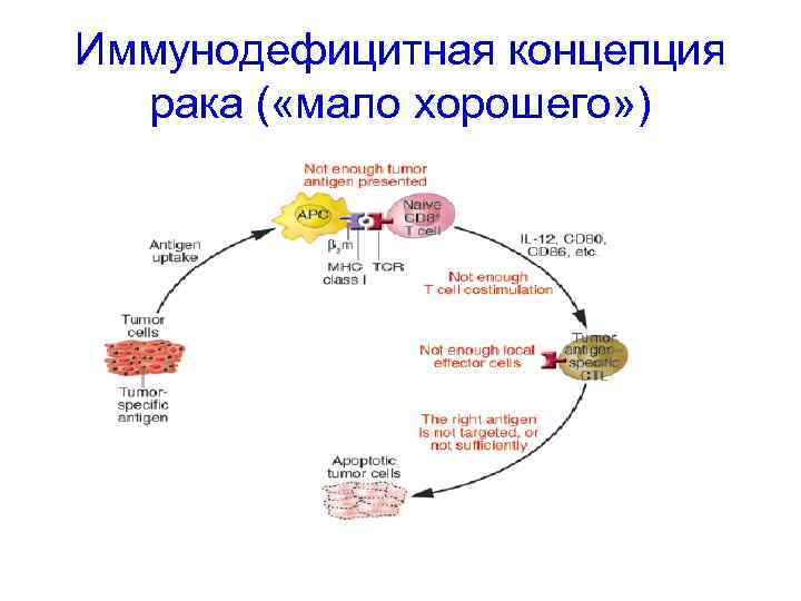 Иммунодефицитная концепция рака ( «мало хорошего» ) 