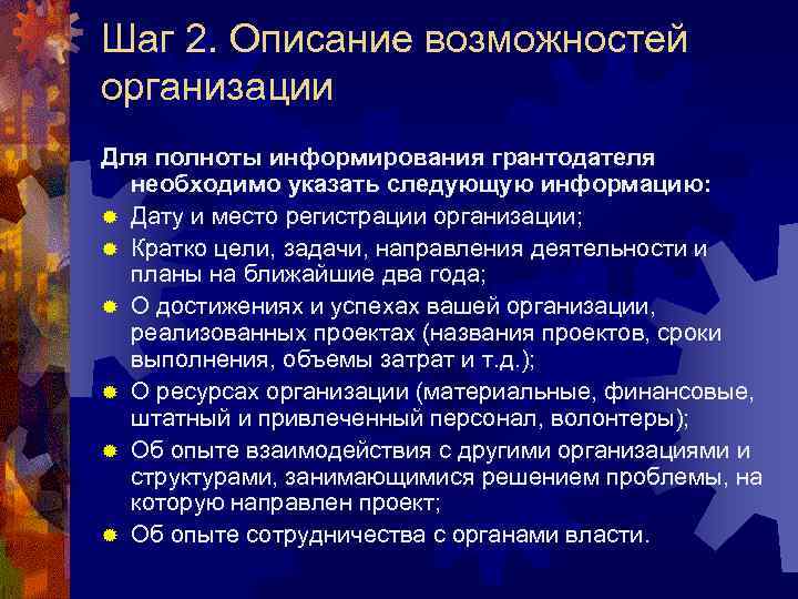 Шаг 2. Описание возможностей организации Для полноты информирования грантодателя необходимо указать следующую информацию: ®