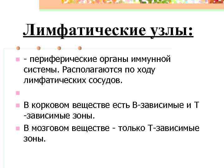 Лимфатические узлы: n - периферические органы иммунной системы. Располагаются по ходу лимфатических сосудов. n