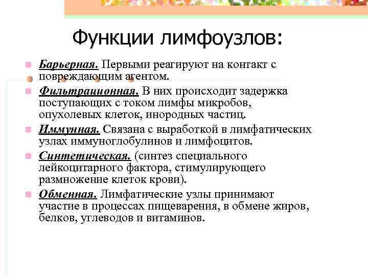 Функции лимфоузлов: n n n Барьерная. Первыми реагируют на контакт с повреждающим агентом. Фильтрационная.