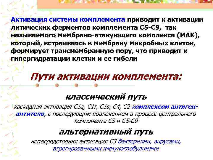 Активация системы комплемента приводит к активации литических ферментов комплемента С 5 -С 9, так