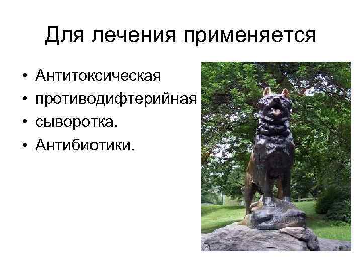 Для лечения применяется • • Антитоксическая противодифтерийная сыворотка. Антибиотики. 
