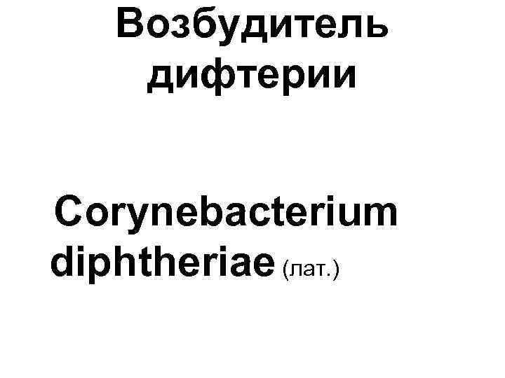 Возбудитель дифтерии Corynebacterium diphtheriae (лат. ) 