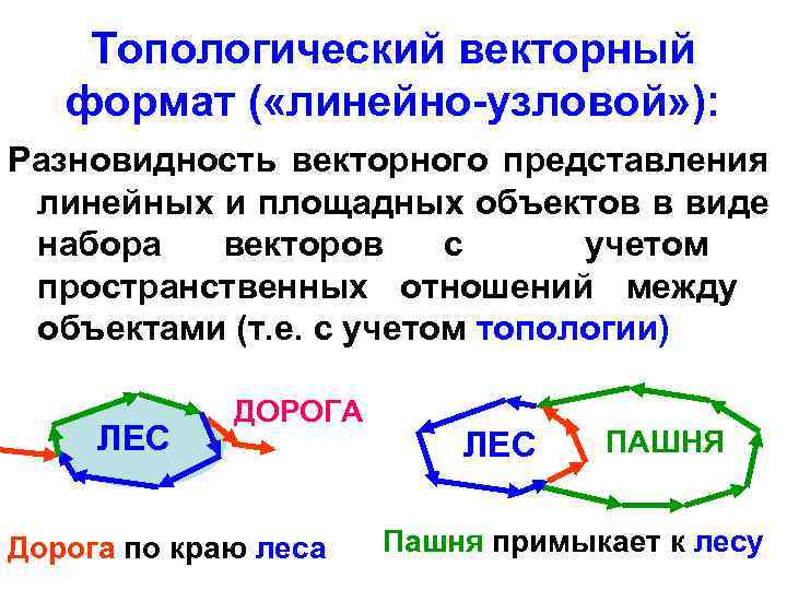 Векторный формат это. Топологическое представление векторных объектов. Векторная топологическая модель пространственных данных. Топологические представления это. Топологическая модель данных.