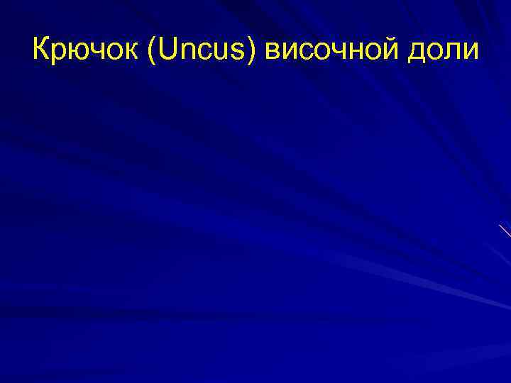 Крючок (Uncus) височной доли 