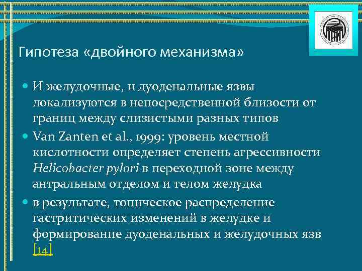 Гипотеза «двойного механизма» И желудочные, и дуоденальные язвы локализуются в непосредственной близости от границ