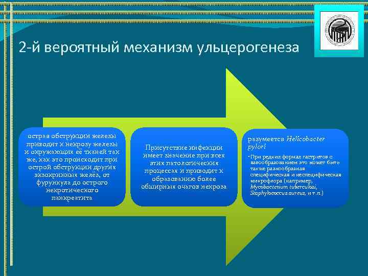 2 -й вероятный механизм ульцерогенеза острая обструкции железы приводит к некрозу железы и окружающих