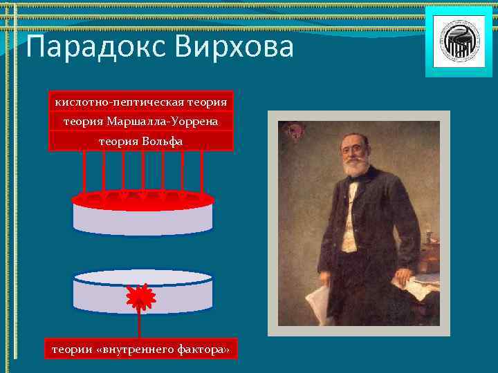 Парадокс Вирхова кислотно-пептическая теория Маршалла-Уоррена теория Вольфа теории «внутреннего фактора» 