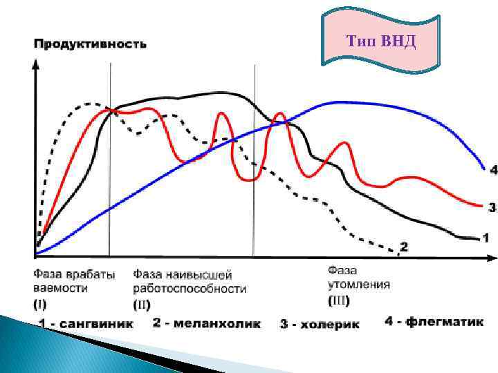 Определение типа внд по анамнестической схеме