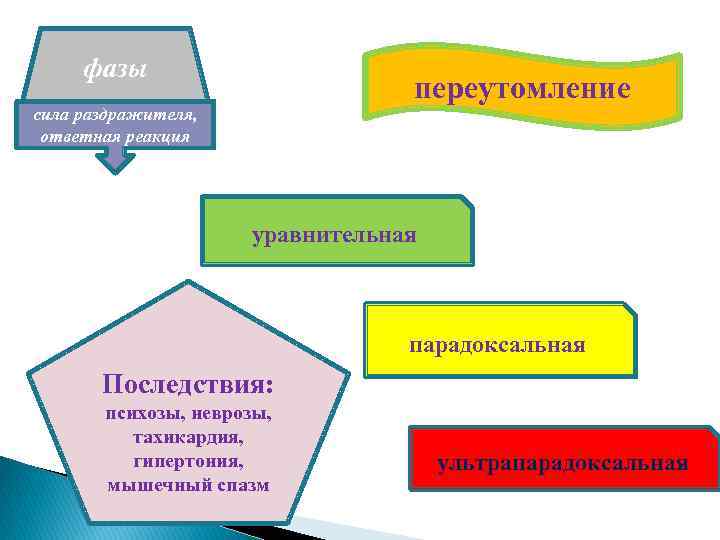 фазы переутомление сила раздражителя, ответная реакция уравнительная парадоксальная Последствия: психозы, неврозы, тахикардия, гипертония, мышечный
