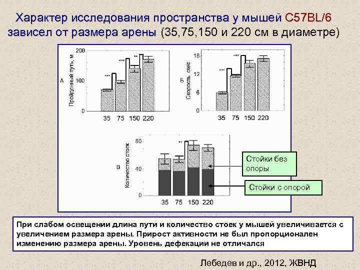 Характер исследования пространства у мышей C 57 BL/6 зависел от размера арены (35, 75,