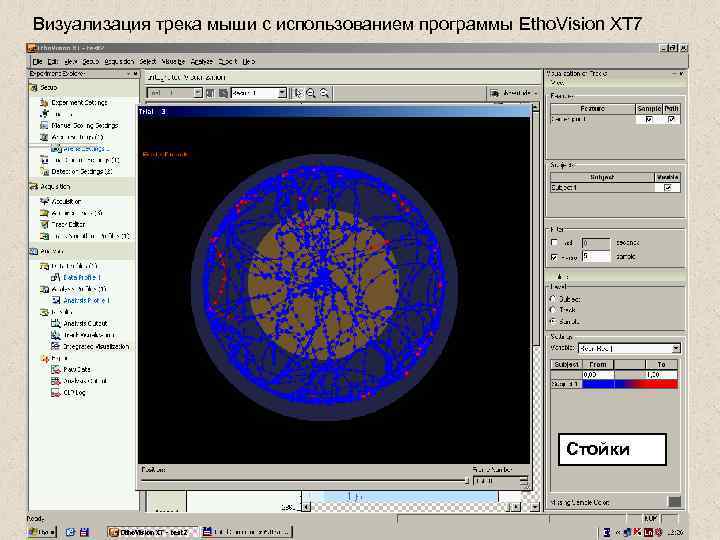 Визуализация трека мыши с использованием программы Etho. Vision XT 7 Стойки 