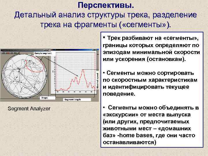 Перспективы. Детальный анализ структуры трека, разделение трека на фрагменты ( «сегменты» ). • Трек