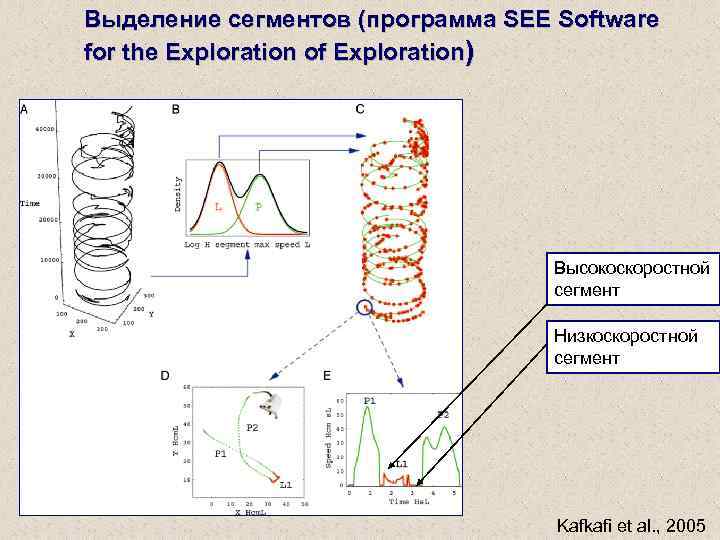 Выделение сегментов (программа SEE Software for the Exploration of Exploration) Высокоскоростной сегмент Низкоскоростной сегмент