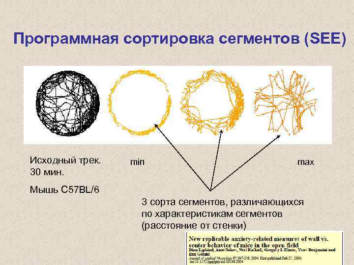 Программная сортировка сегментов (SEE) Исходный трек. 30 мин. min max Мышь C 57 BL/6