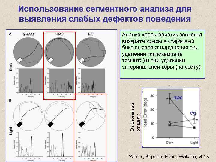 Использование сегментного анализа для выявления слабых дефектов поведения Анализ характеристик сегмента возврата крысы в