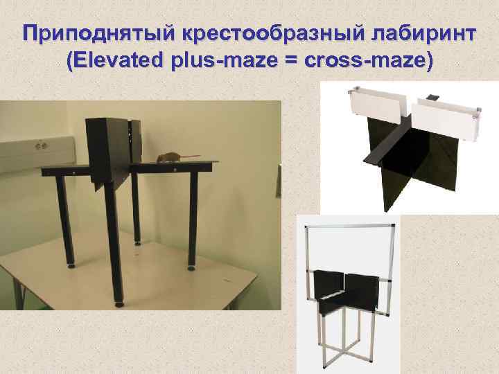 Приподнятый крестообразный лабиринт (Elevated plus-maze = cross-maze) 